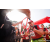Team 34 / Raid Amazones Sri Lanka 2023 - J6 Trail