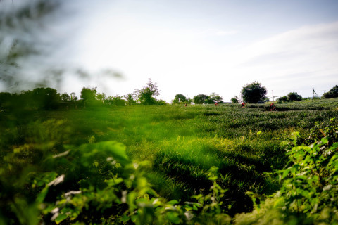 Raid Amazones Thailande  2025 - J5 Bike & Run