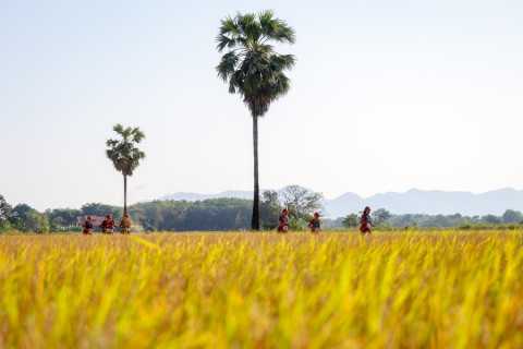 Raid Amazones Thailande  2025 - J6 Trail